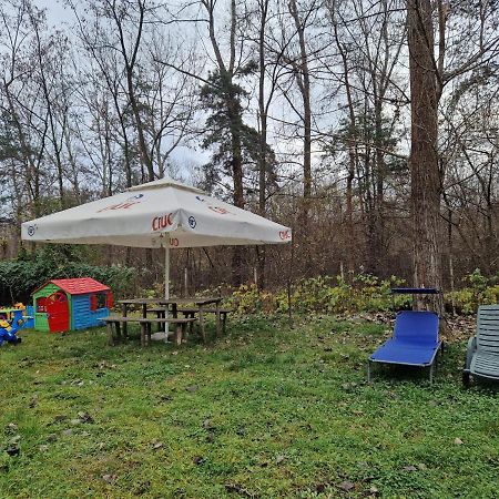 Pensiunea Carpe Diem Râmnicu Vâlcea Eksteriør billede