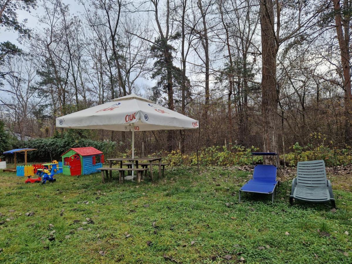 Pensiunea Carpe Diem Râmnicu Vâlcea Eksteriør billede